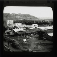 Böhl glass slide 61./1540